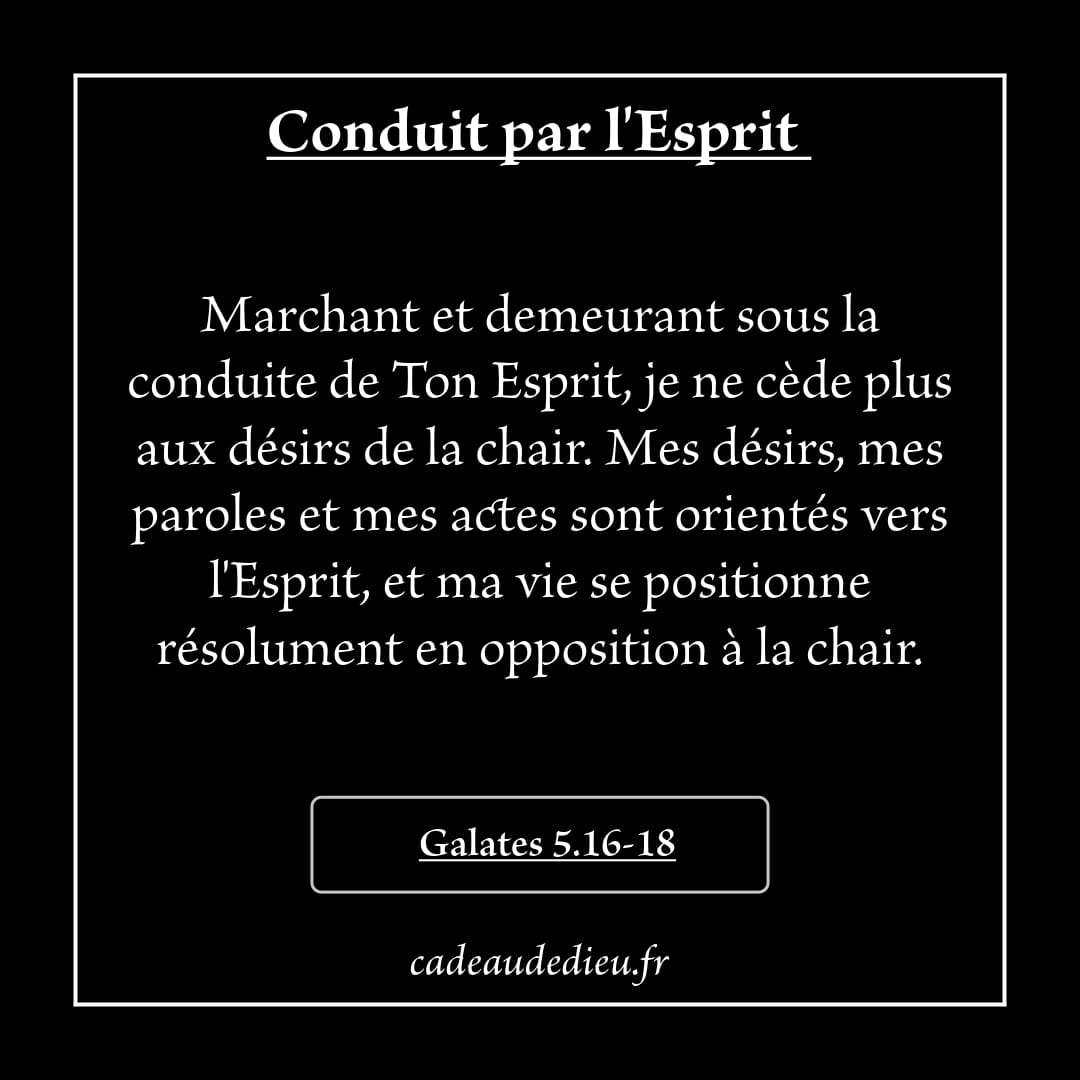 Conduit par l'Esprit
