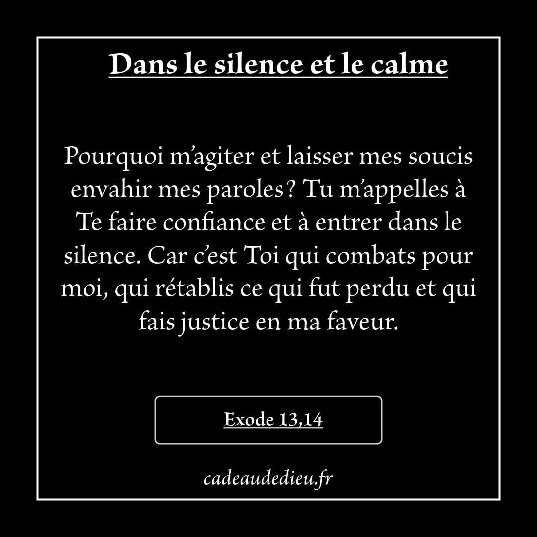 Dans le silence et le calme