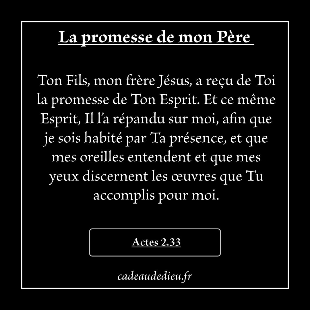 La promesse de mon Père