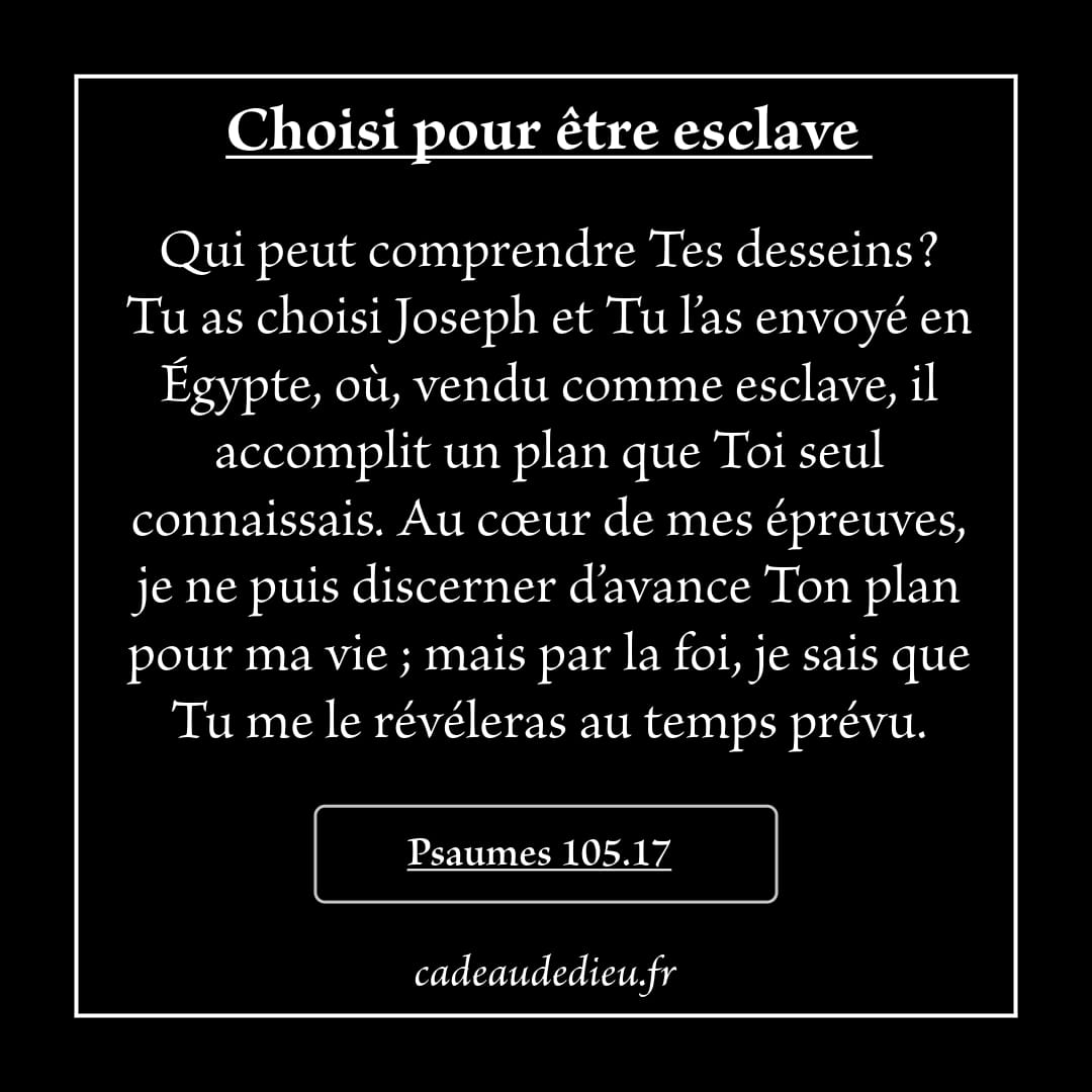 Choisi pour être esclave