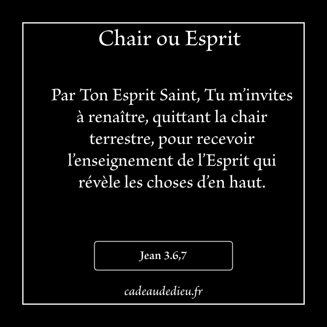 Chair ou Esprit