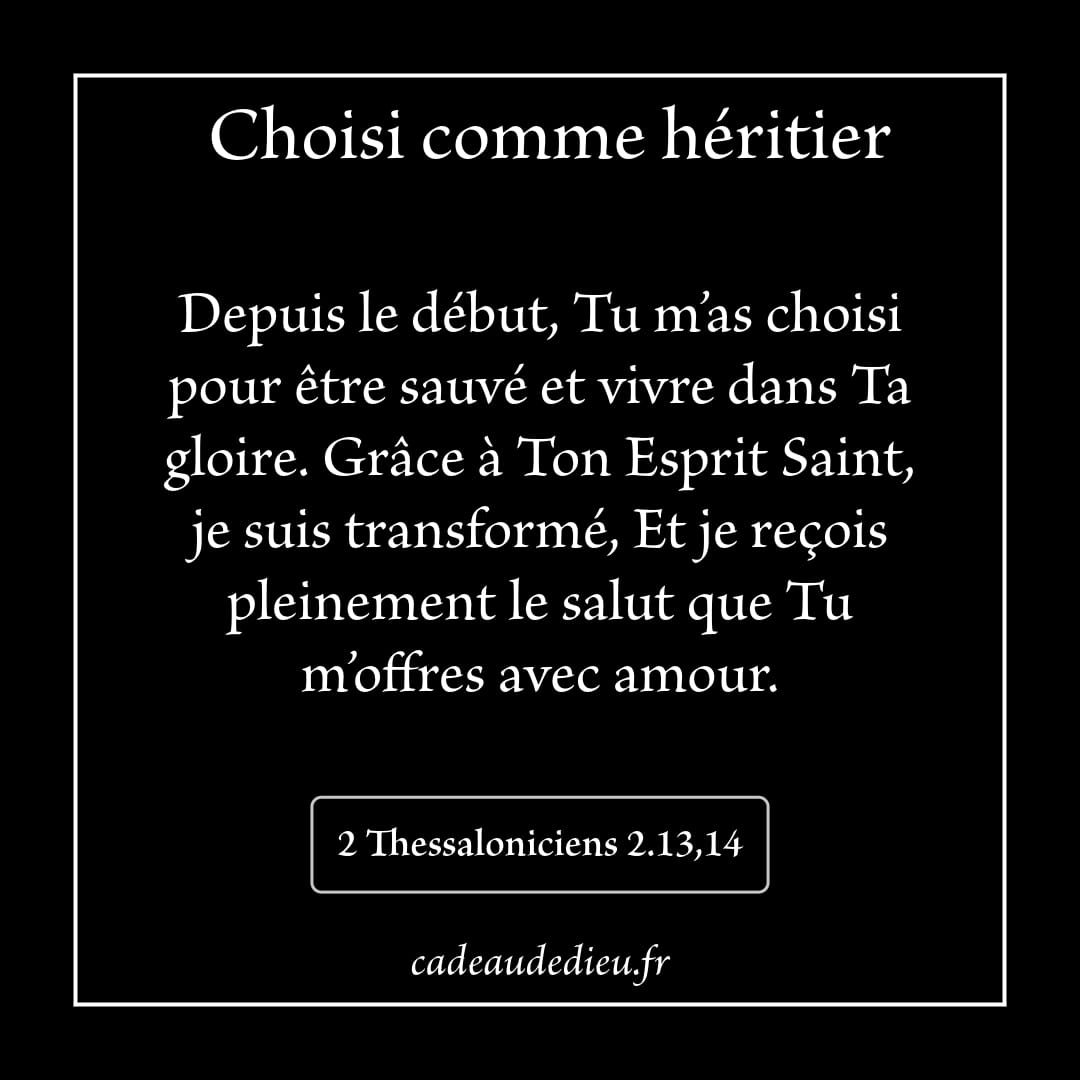 Choisi comme héritier