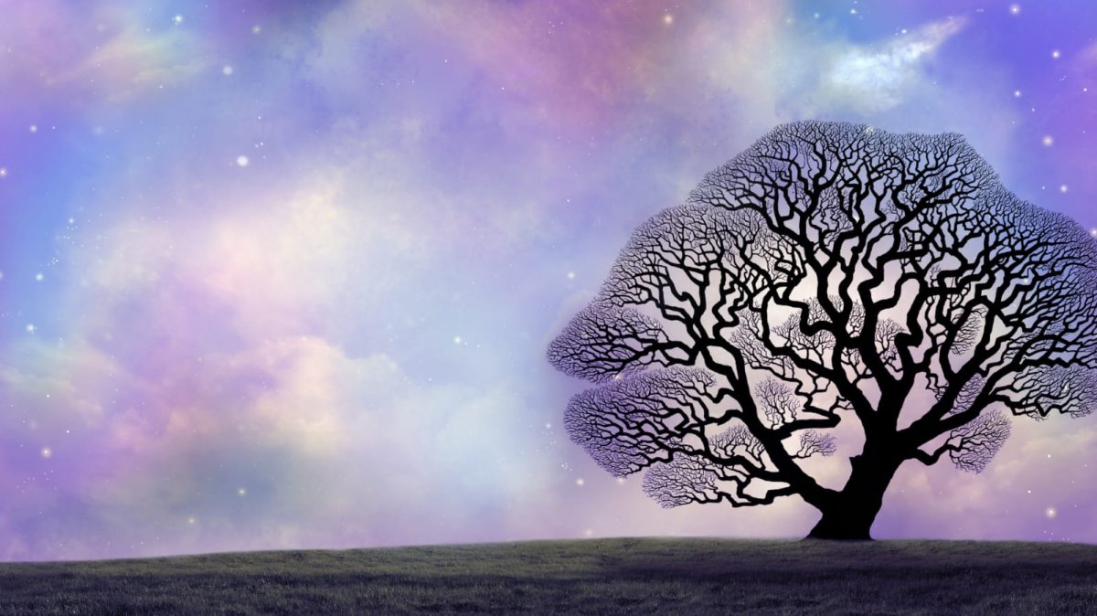 La reconnaissance de Ta sagesse