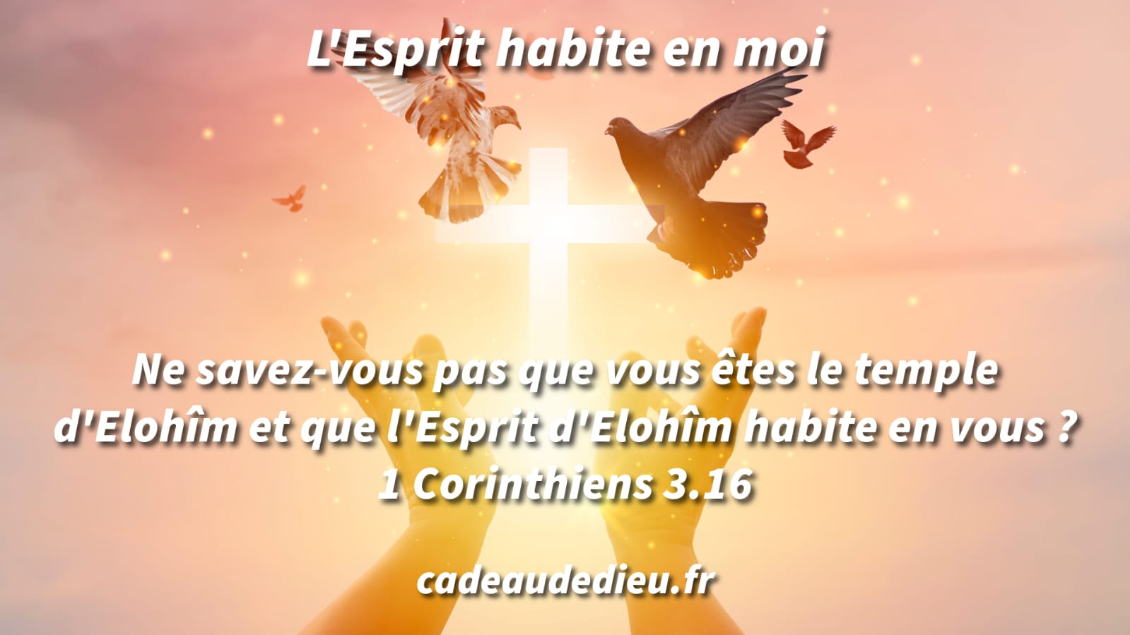 L'Esprit habite en moi