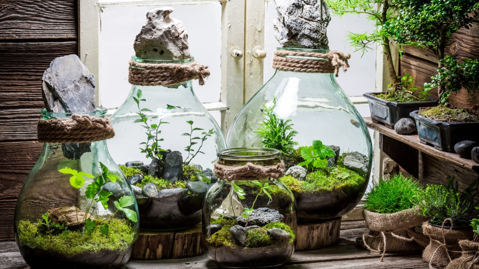 Détruire les œuvres du diable