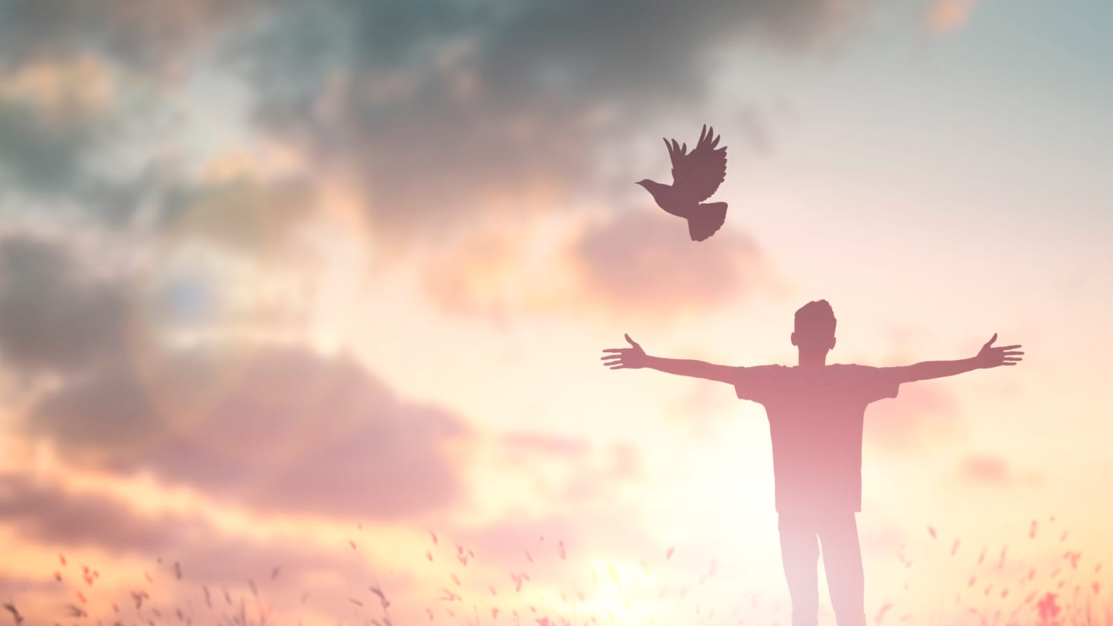 Ta sagesse produit la paix