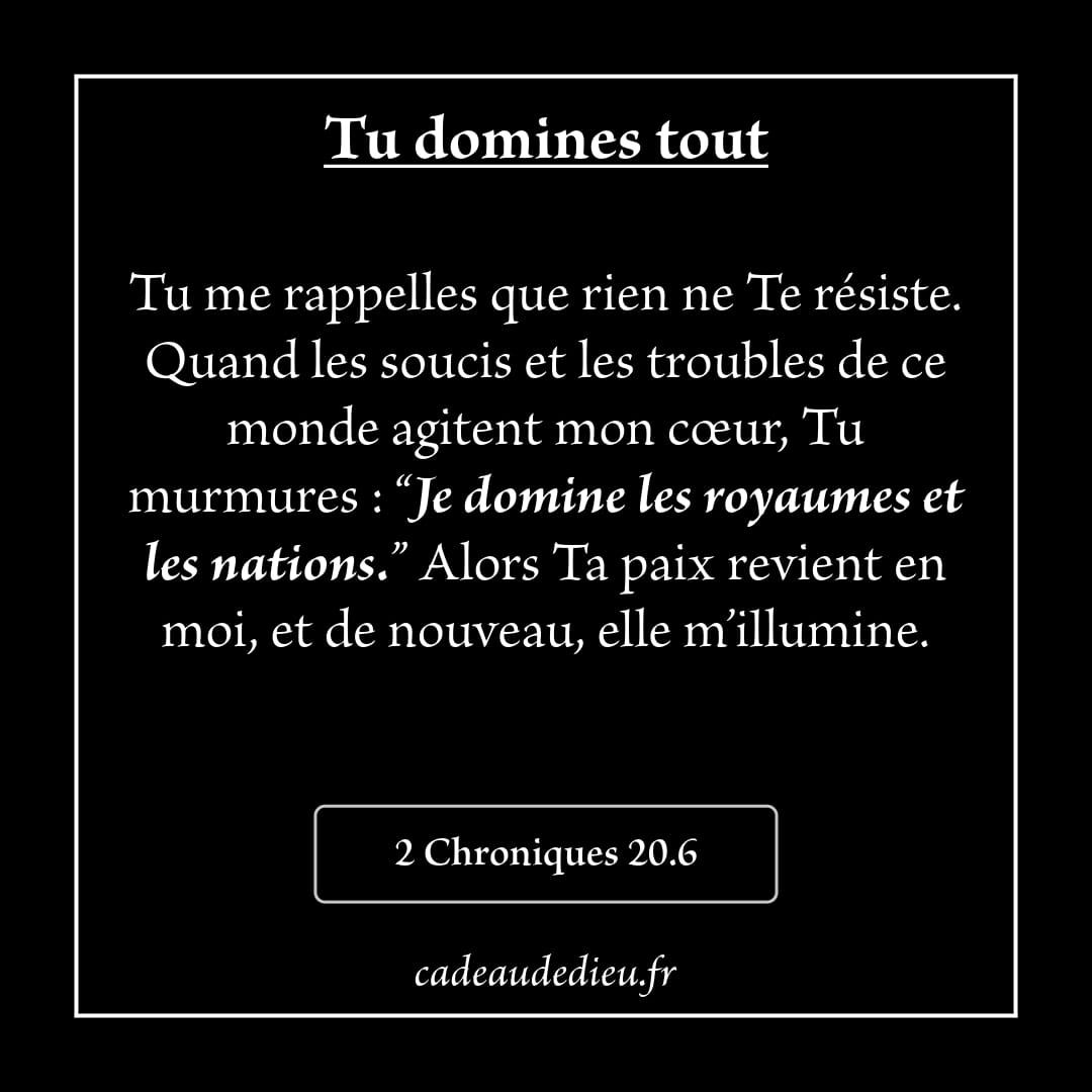 Tu domines tout