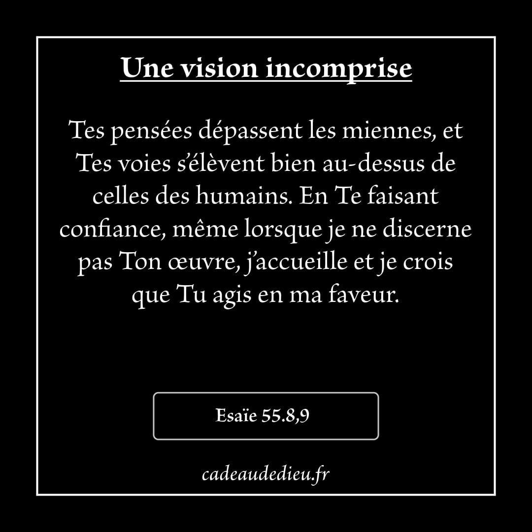 Une vision incomprise