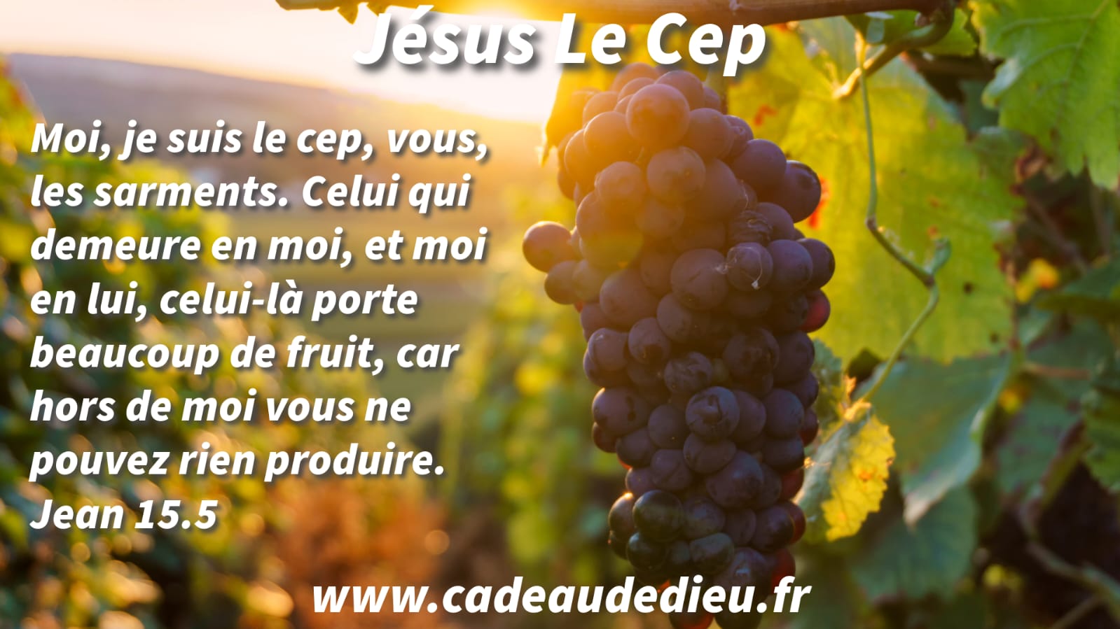 Jésus Le Cep